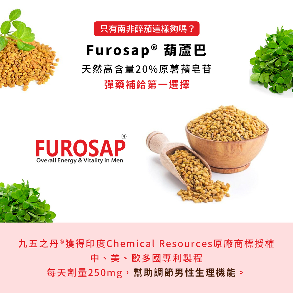 蛟龍．南非醉茄+葫蘆巴