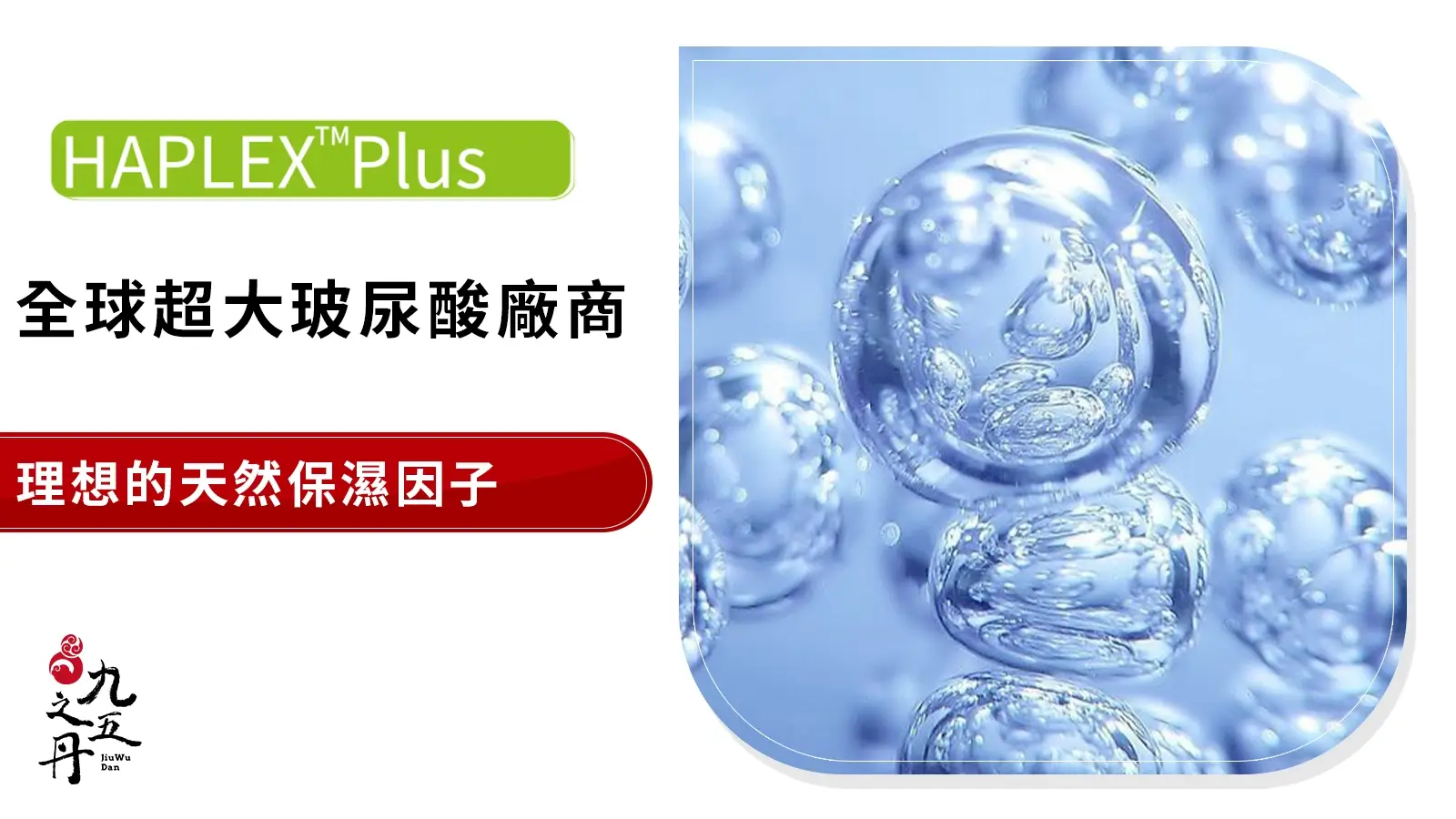 Haplex™ Plus 全球超大玻尿酸廠商