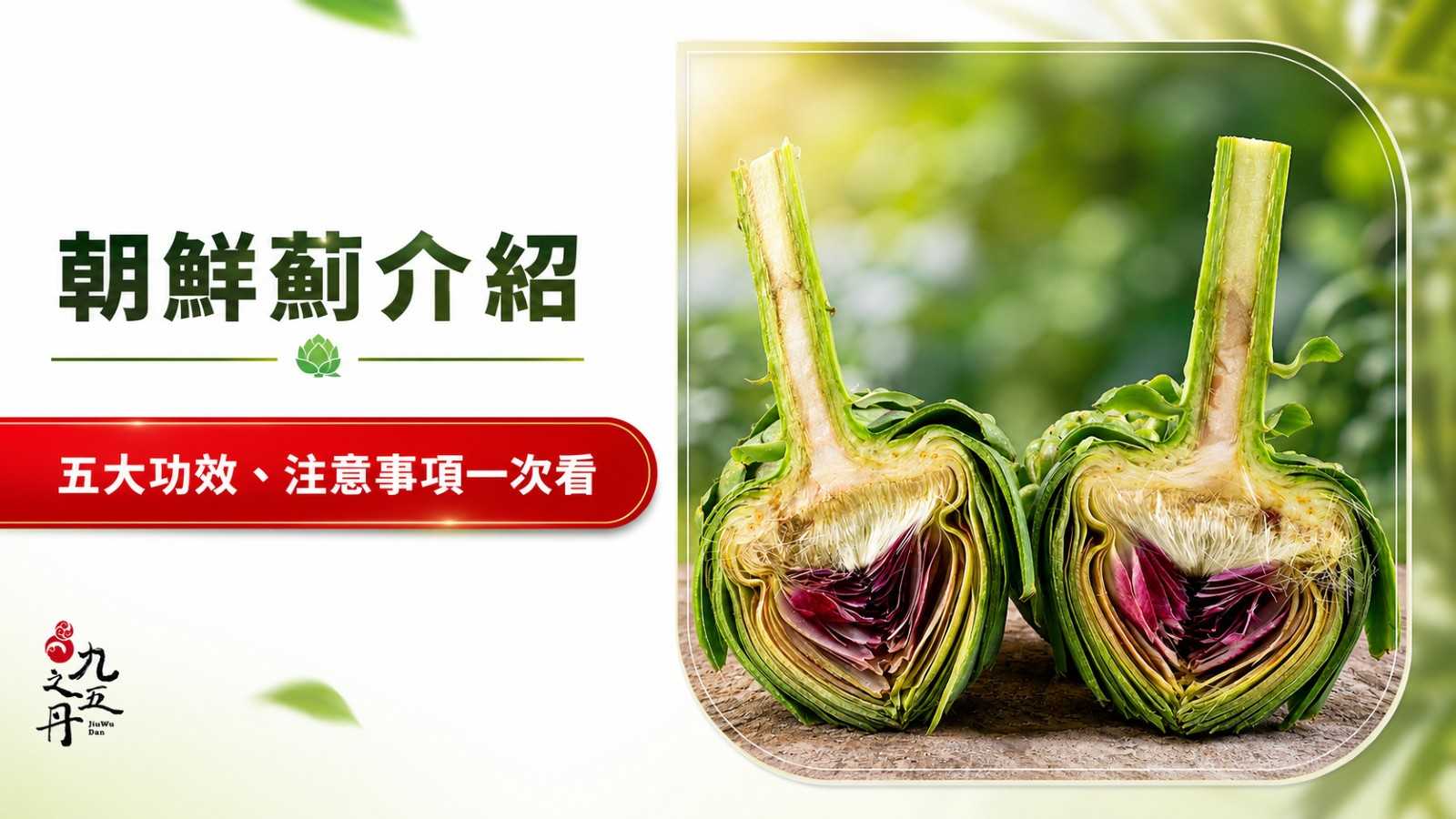朝鮮薊怎麼吃？攝取功效、4種料理吃法&保健品補充方式一覽