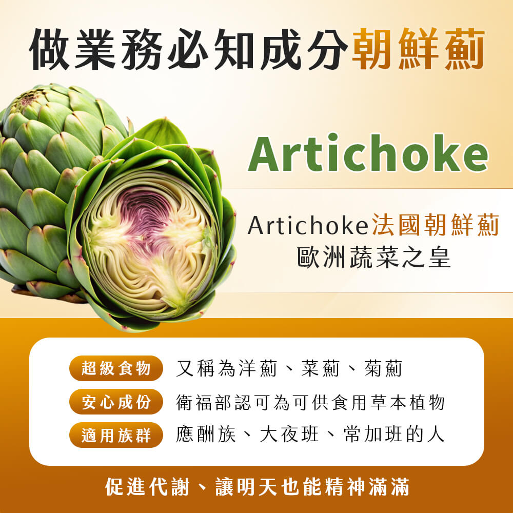 乾皇．應酬酵素+朝鮮薊