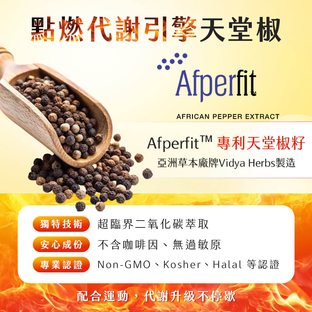 閃澱.享受酵素+白腎豆